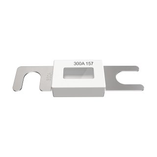 Säkring ANL-300A trög